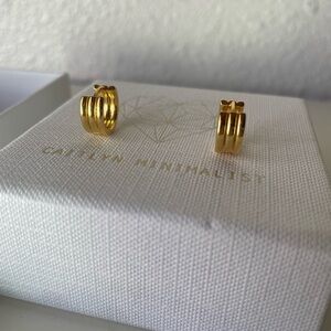 Caitlyn Minimalist Denali Huggie Earrings
